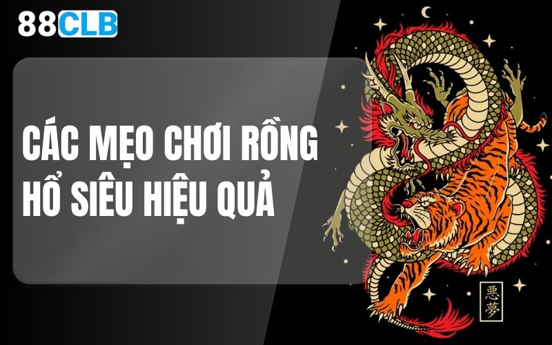 các mẹo chơi rồng hổ siêu hiệu quả