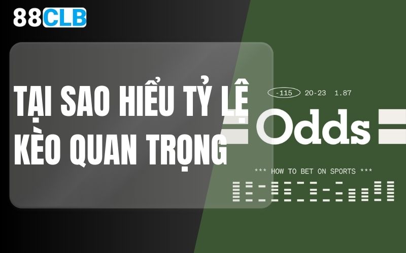 tại sao hiểu tỷ lệ kèo quan trọng